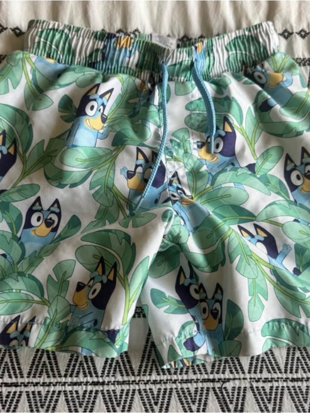 Kids' Cartoon Bluey Print Swim Trunks - Green & Blue